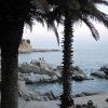lloret 7